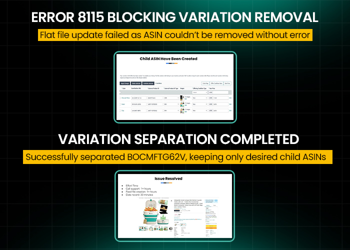 Resolving Error 8115 in Amazon Listings casestudy