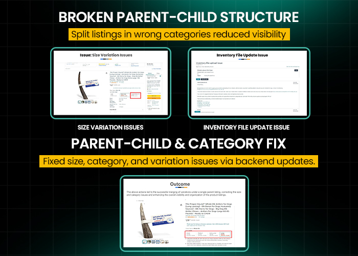 Resolving Product Categorization in Amazon Listings casestudy