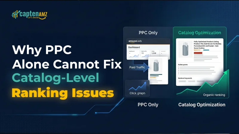 Professional Catalog Services Improve Amazon Rankings